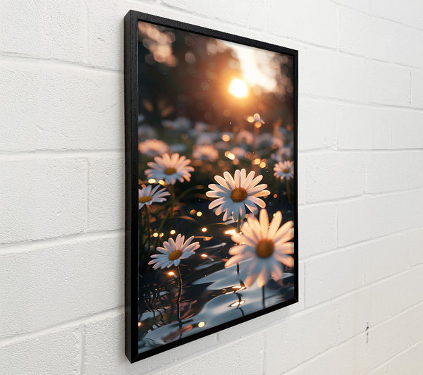 Golden Daisies In Water