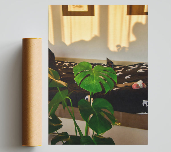 Green Light Bedside Giclee Print