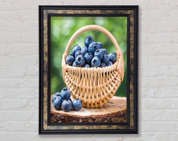 Blueberry Picking Framed Print