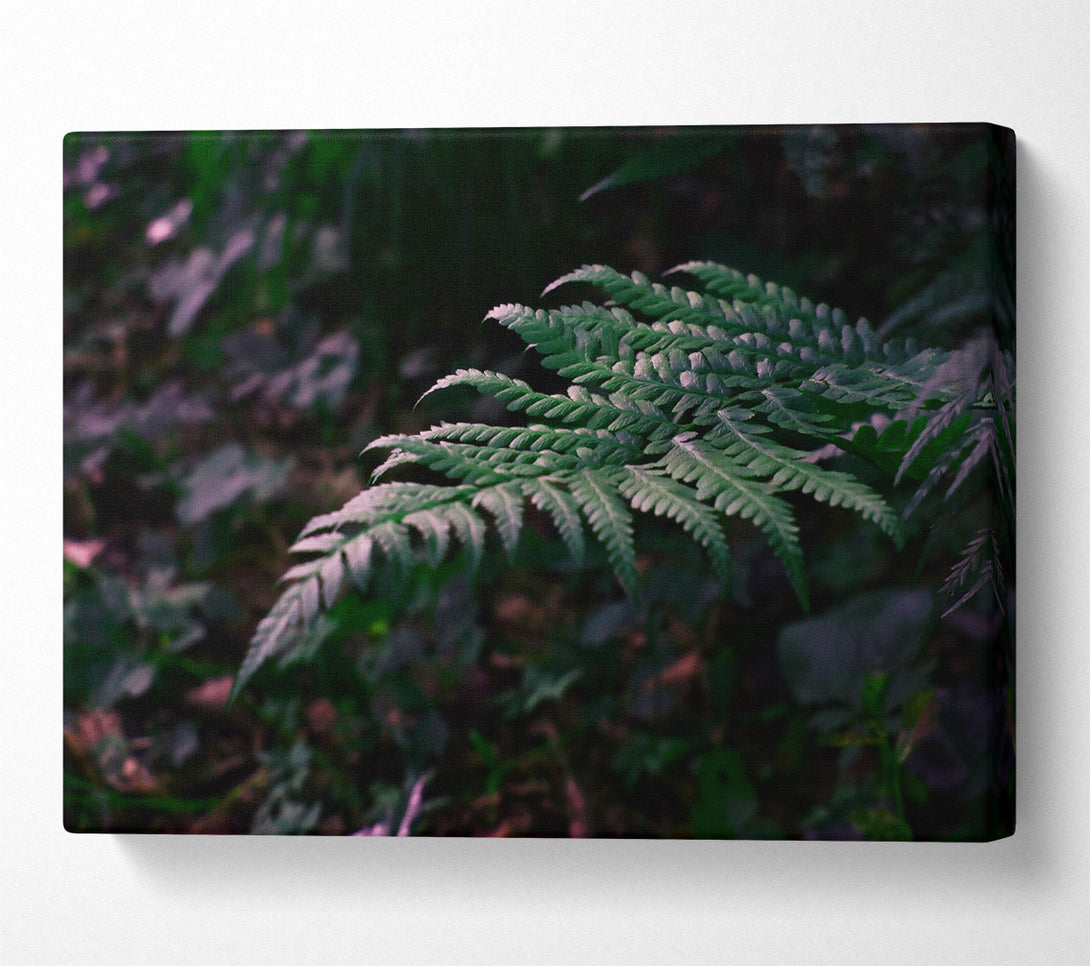  A Canvas Print of Emerald Fern Fronds Canvas Art