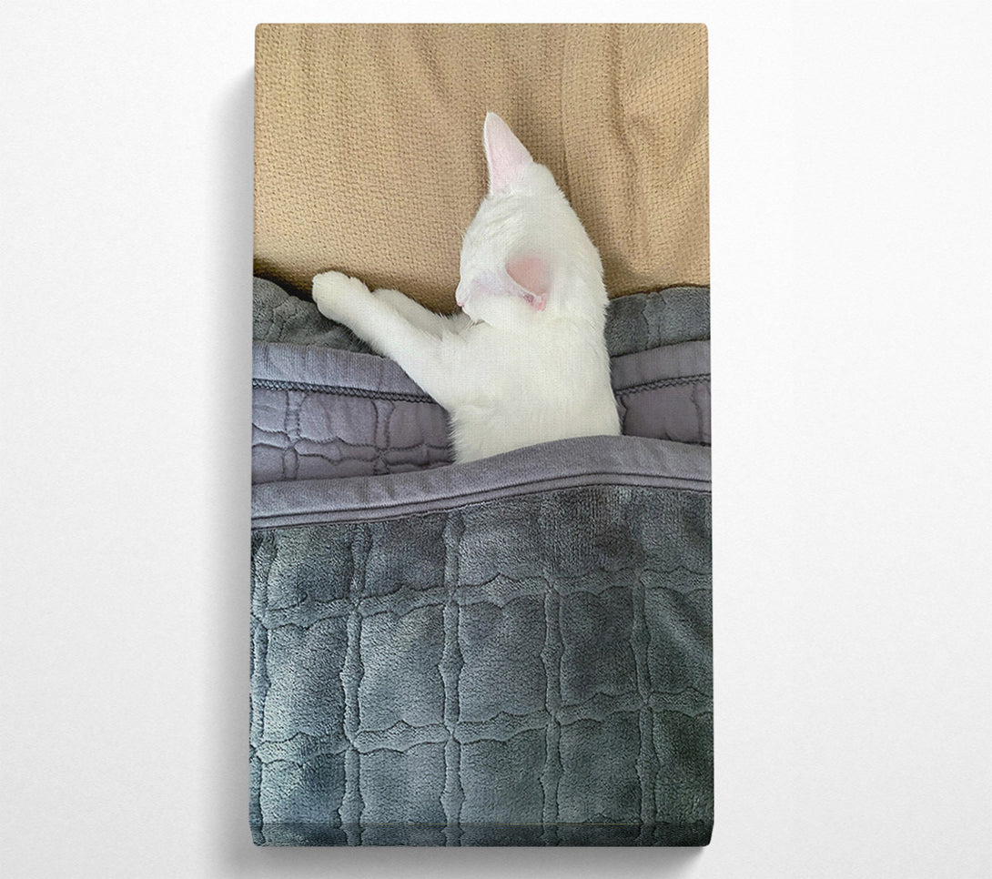  A Canvas Print of Gray Blanket Slumber Canvas Art
