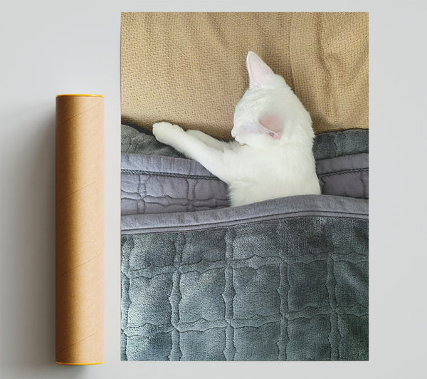 Gray Blanket Slumber Poster