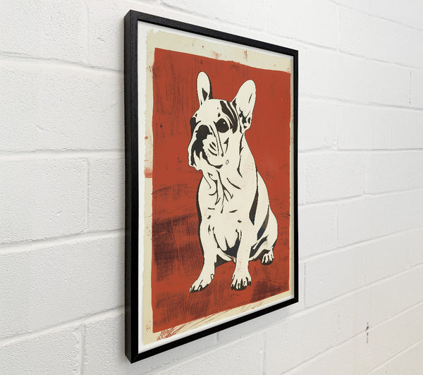 Crimson Frenchie Pose.