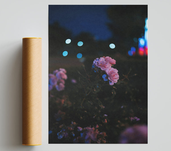 Pink Blooms At Night Poster