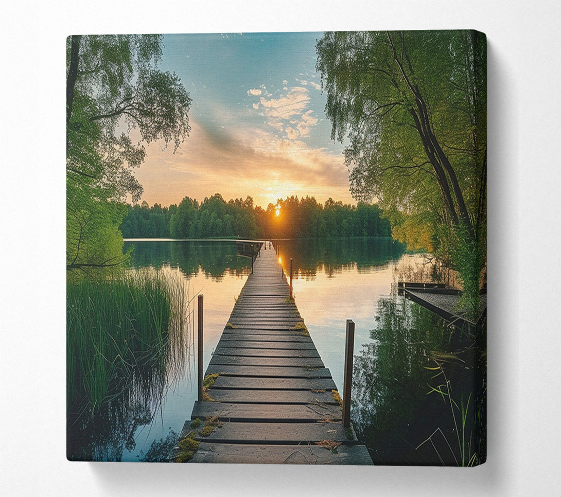  A Canvas Print of Boardwalk Forest Canvas Print