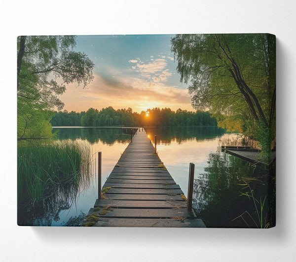  A Canvas Print of Boardwalk Forest Canvas Print
