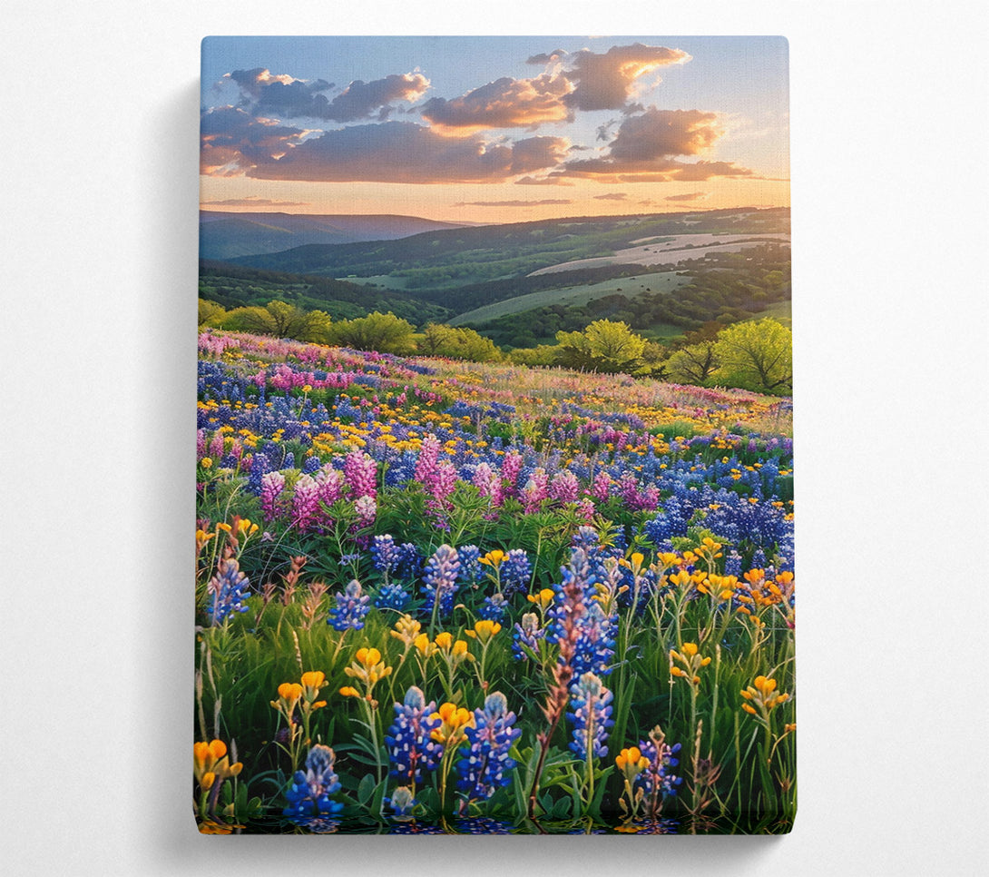  A Canvas Print of Golden Sunset Bloom Canvas Wall Art