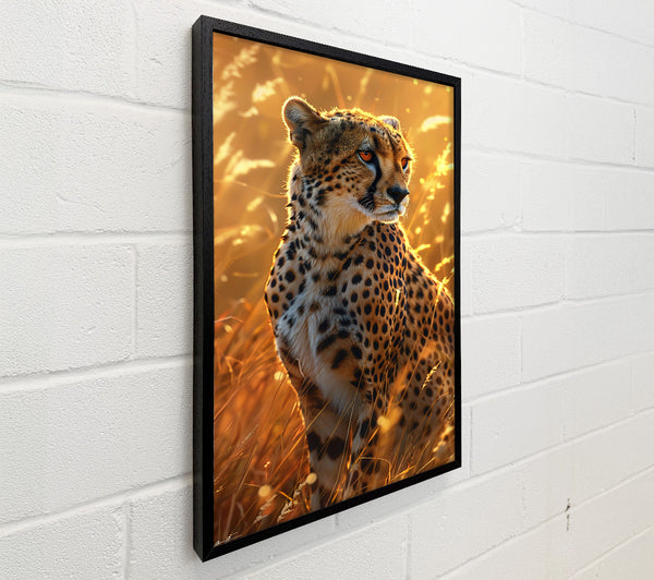 Golden Hour Cheetah