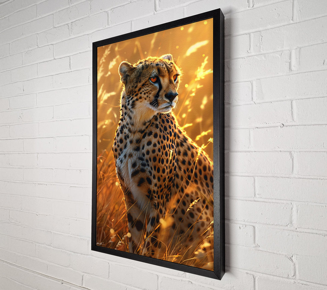  A Canvas Print of Golden Hour Cheetah Canvas Art