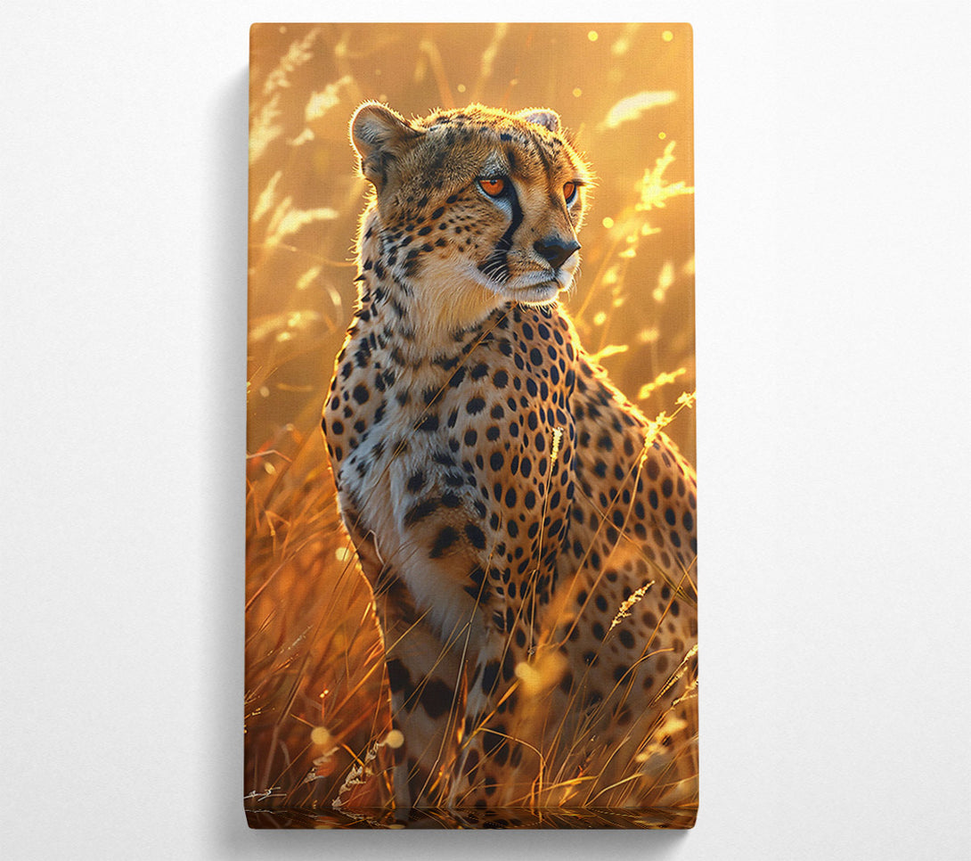  A Canvas Print of Golden Hour Cheetah Canvas Art