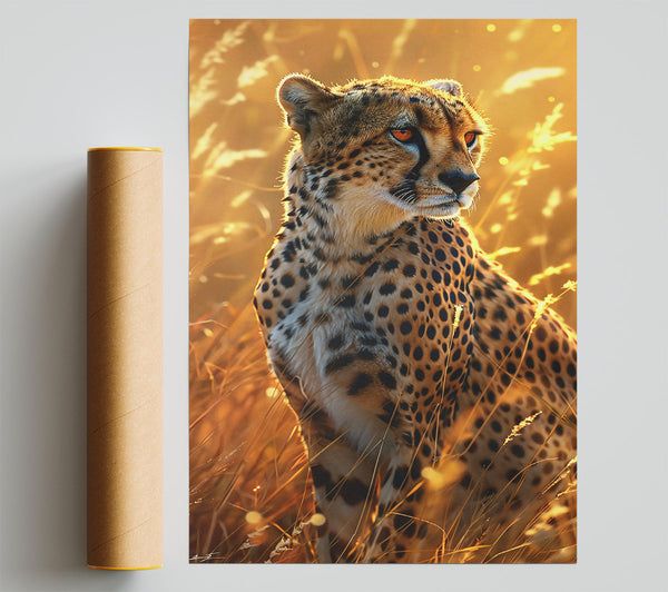 Golden Hour Cheetah Giclee Print