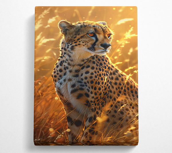  A Canvas Print of Golden Hour Cheetah Canvas Art