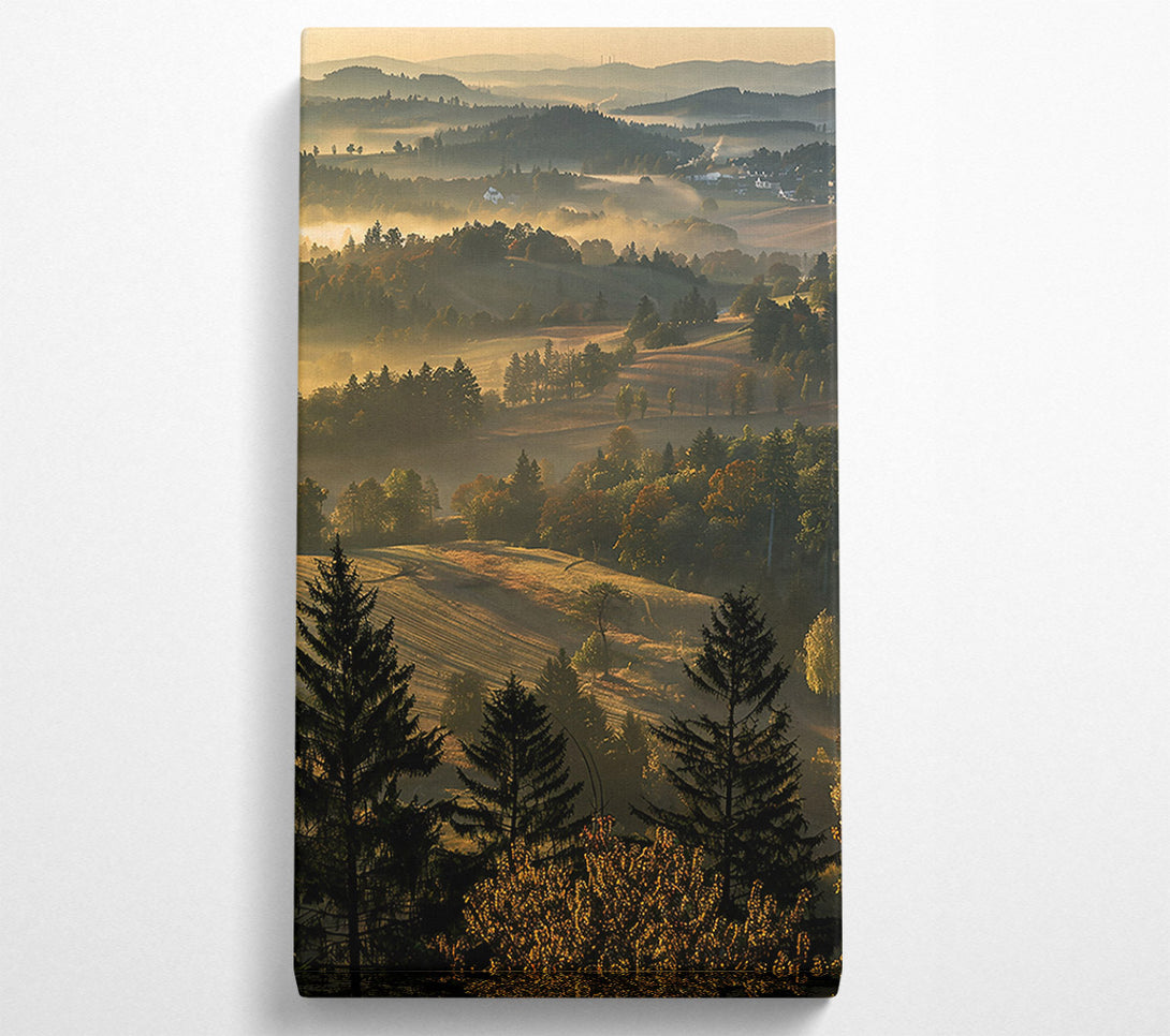  A Canvas Print of Golden Morning Mist Canvas Print