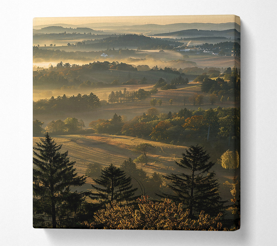  A Canvas Print of Golden Morning Mist Canvas Print