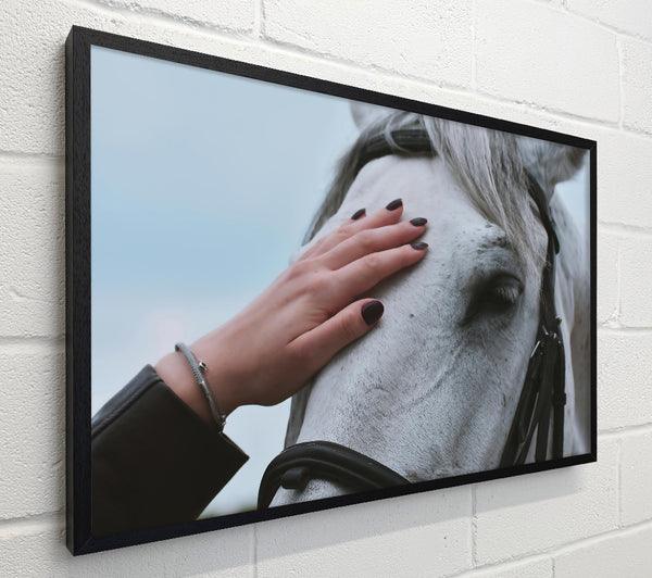 White Horse Gentle Touch