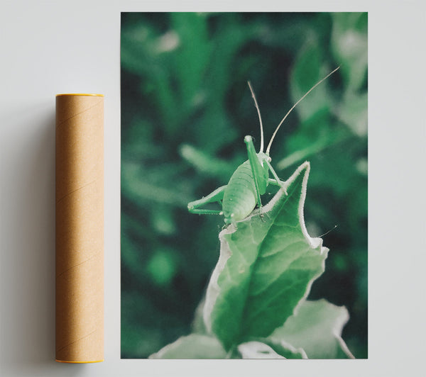 Emerald Green Haven Giclee Print