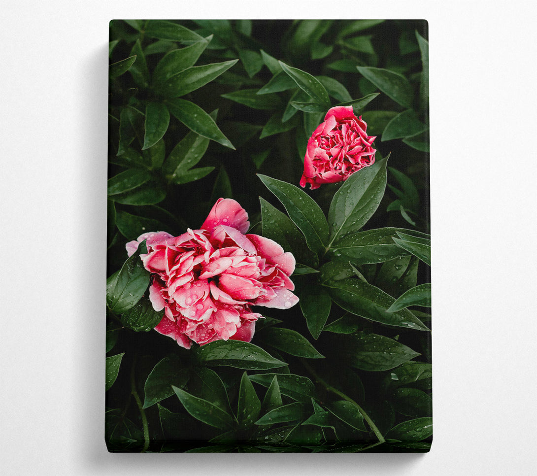  A Canvas Print of Loading... Canvas Print