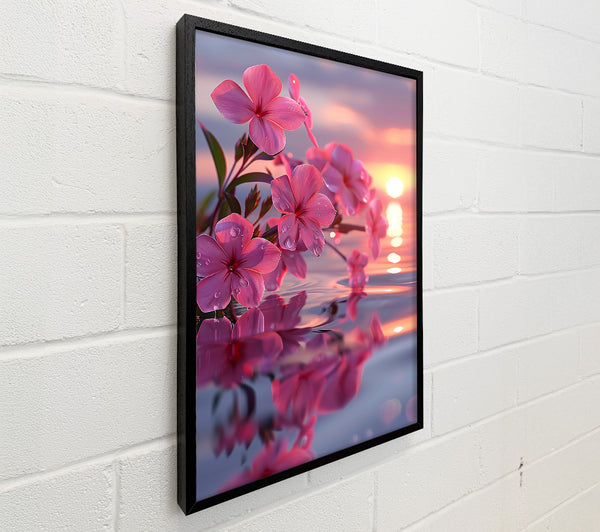 Pink Sunset Reflection