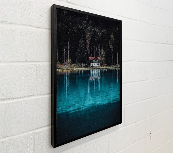Teal Forest Reflection
