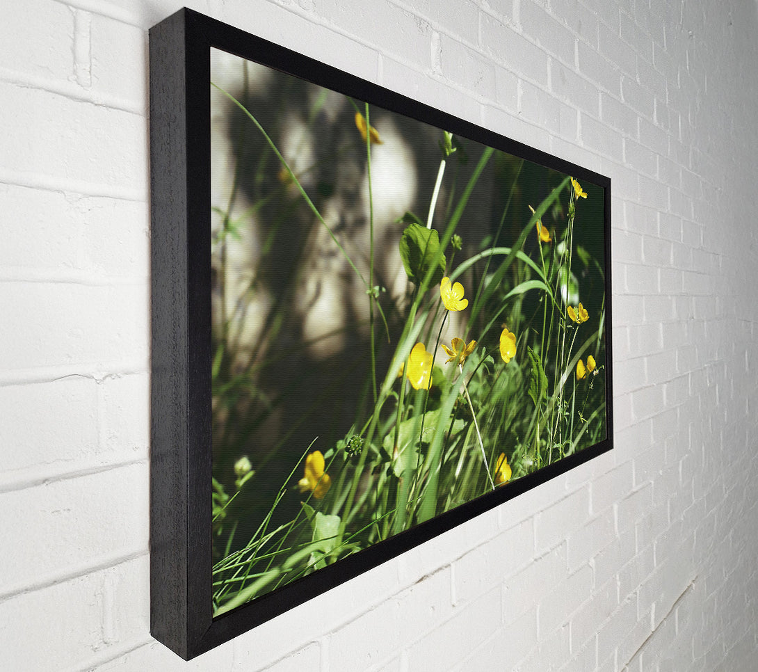  A Canvas Print of Golden Summer Blooms Canvas Print