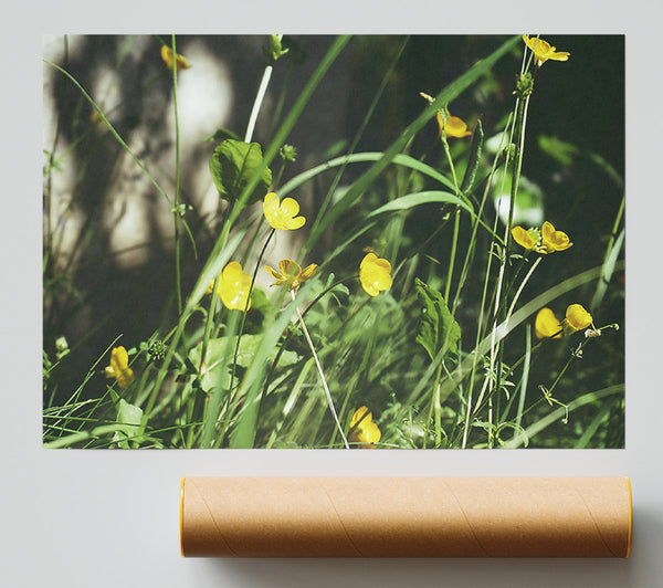 Golden Summer Blooms Print