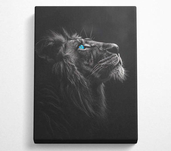  A Canvas Print of Blue Eyes Of The King Canvas Print