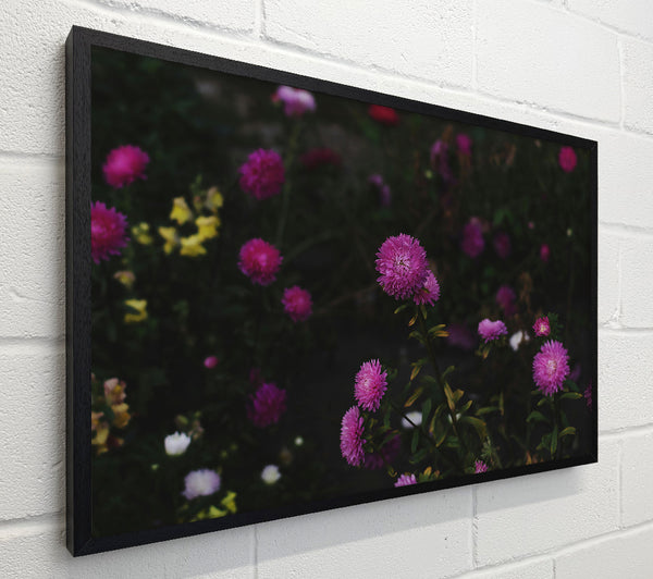 Magenta Floral Bloom