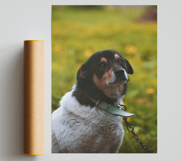 Green Leashed Look Giclee Print