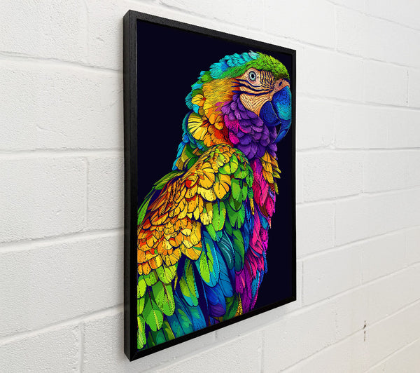 Golden Parrot Feathers