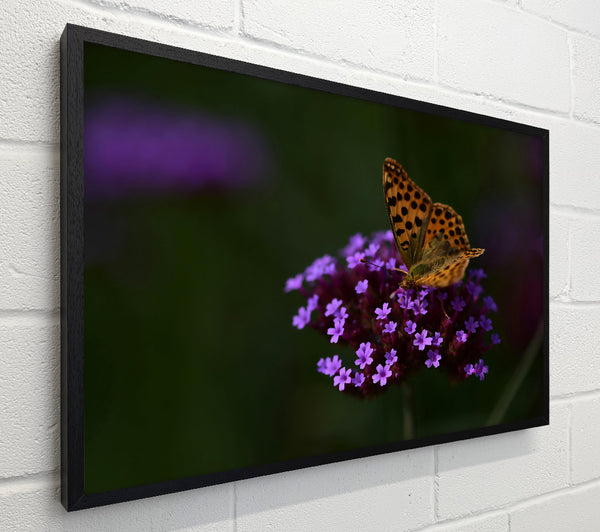 Purple Flower Butterfly