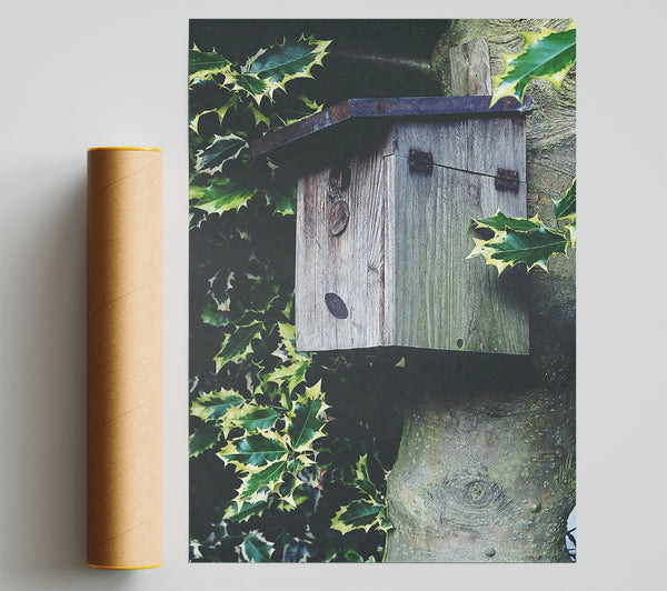 Grey Wooden Shelter Giclee Print