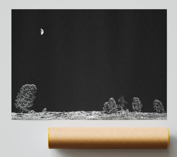 Black Night'S Embrace Print