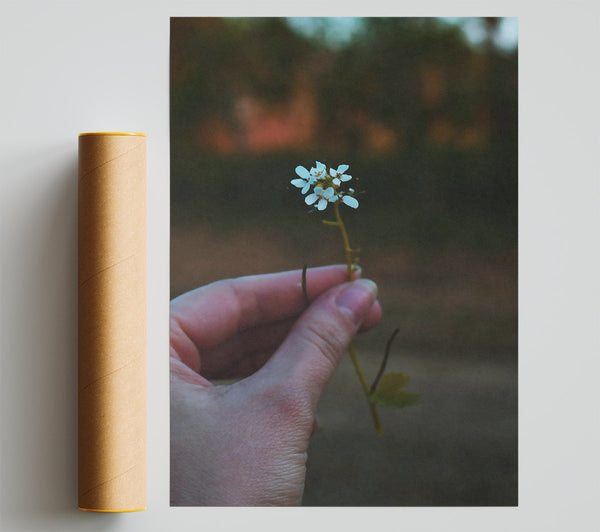 Green White Bloom Print