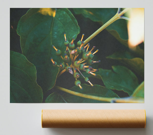 Emerald Green Bloom Print