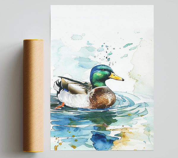 Blue Water Mallard Poster