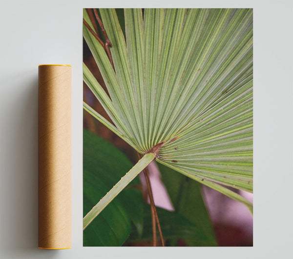 Green Palm Stripes Print