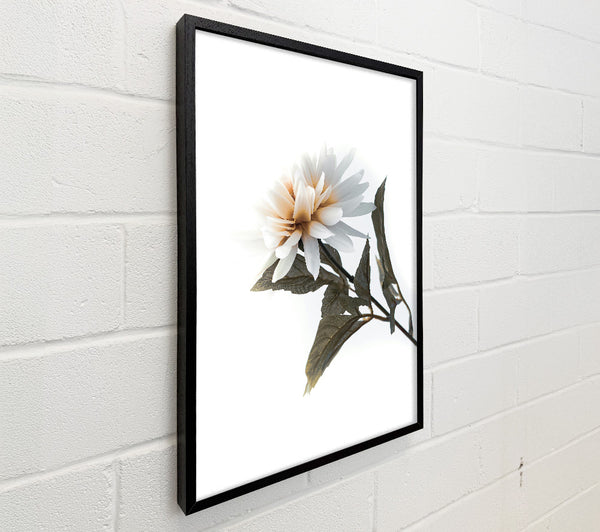 White Bloom And Greenery
