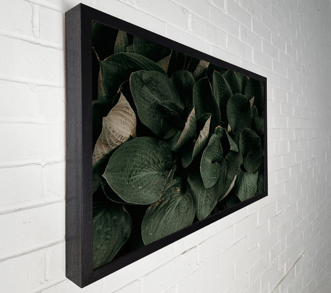  A Canvas Print of Emerald Leaf Embrace Canvas Art