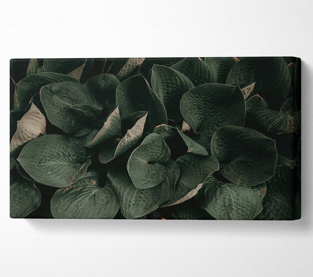  A Canvas Print of Emerald Leaf Embrace Canvas Art