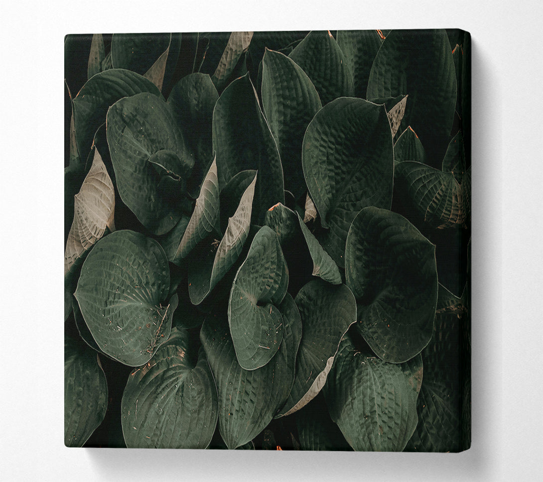  A Canvas Print of Emerald Leaf Embrace Canvas Art