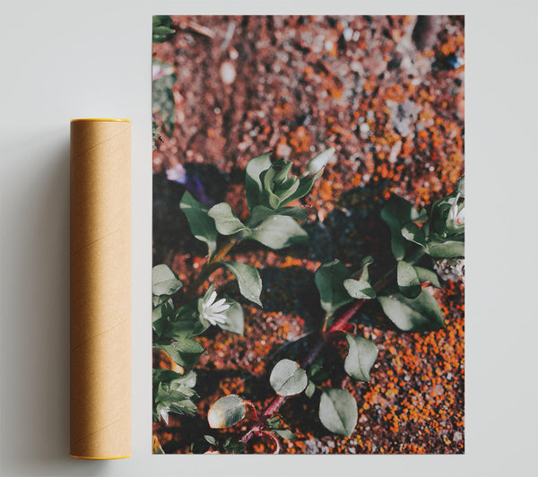 Rust-Colored Green Sprig Print