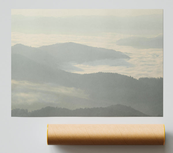 Pale Morning Mist Poster