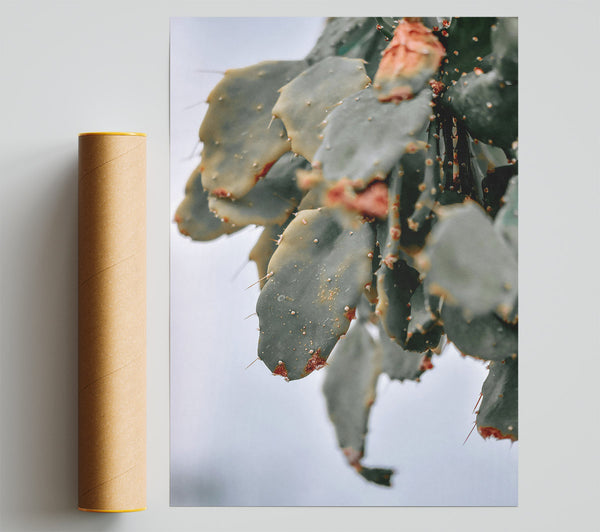 Sage Green Cactus Sprig Giclee Print