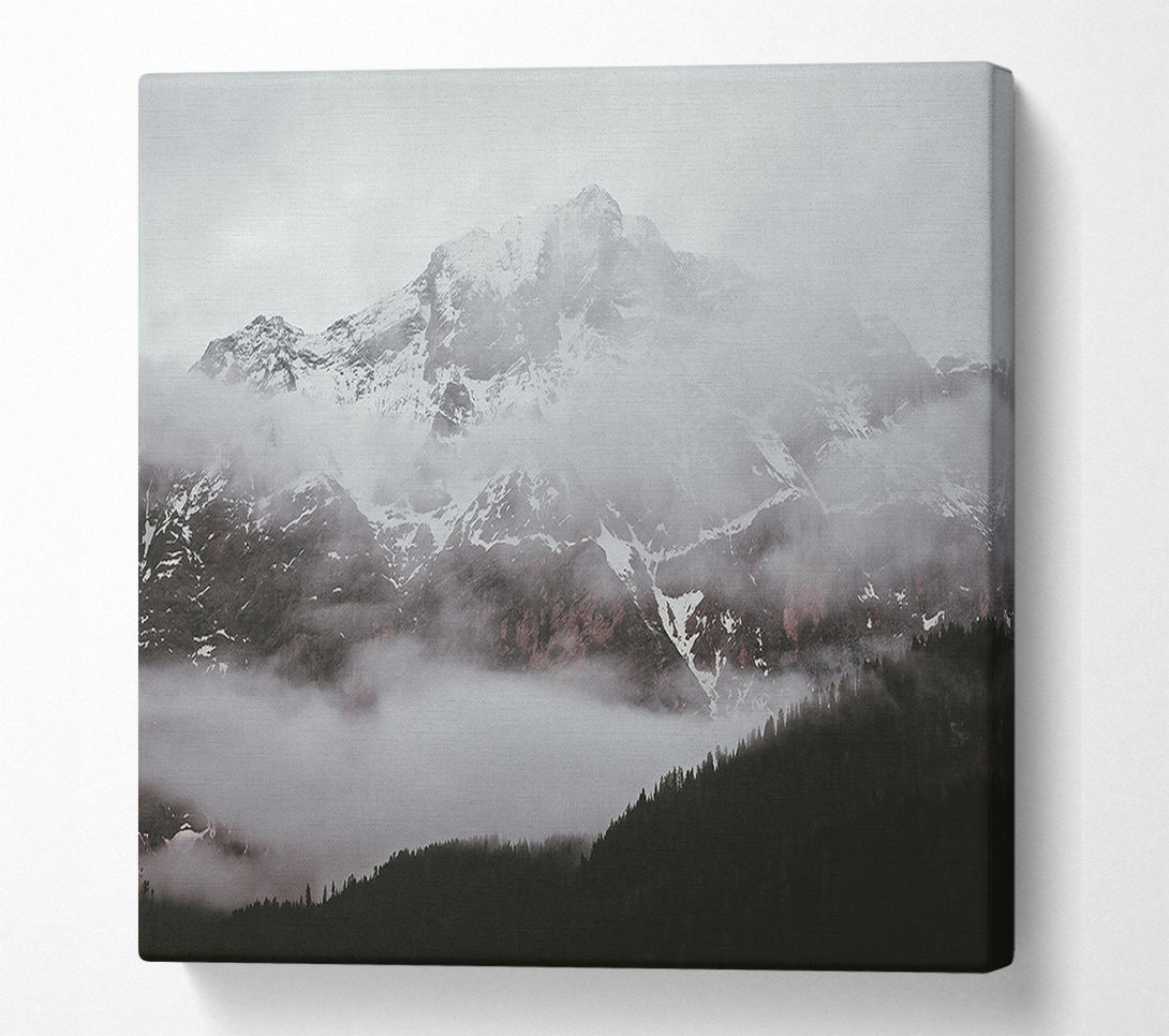 A Canvas Print of Silver Peak In Fog Canvas Art