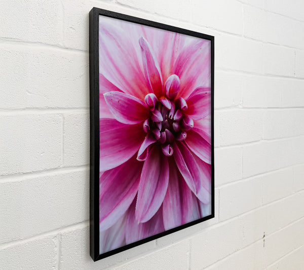 Pink Flower Embrace