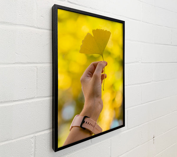 Golden Leaf And Hand