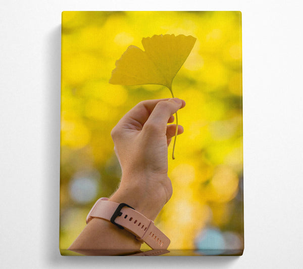 Golden Leaf And Hand