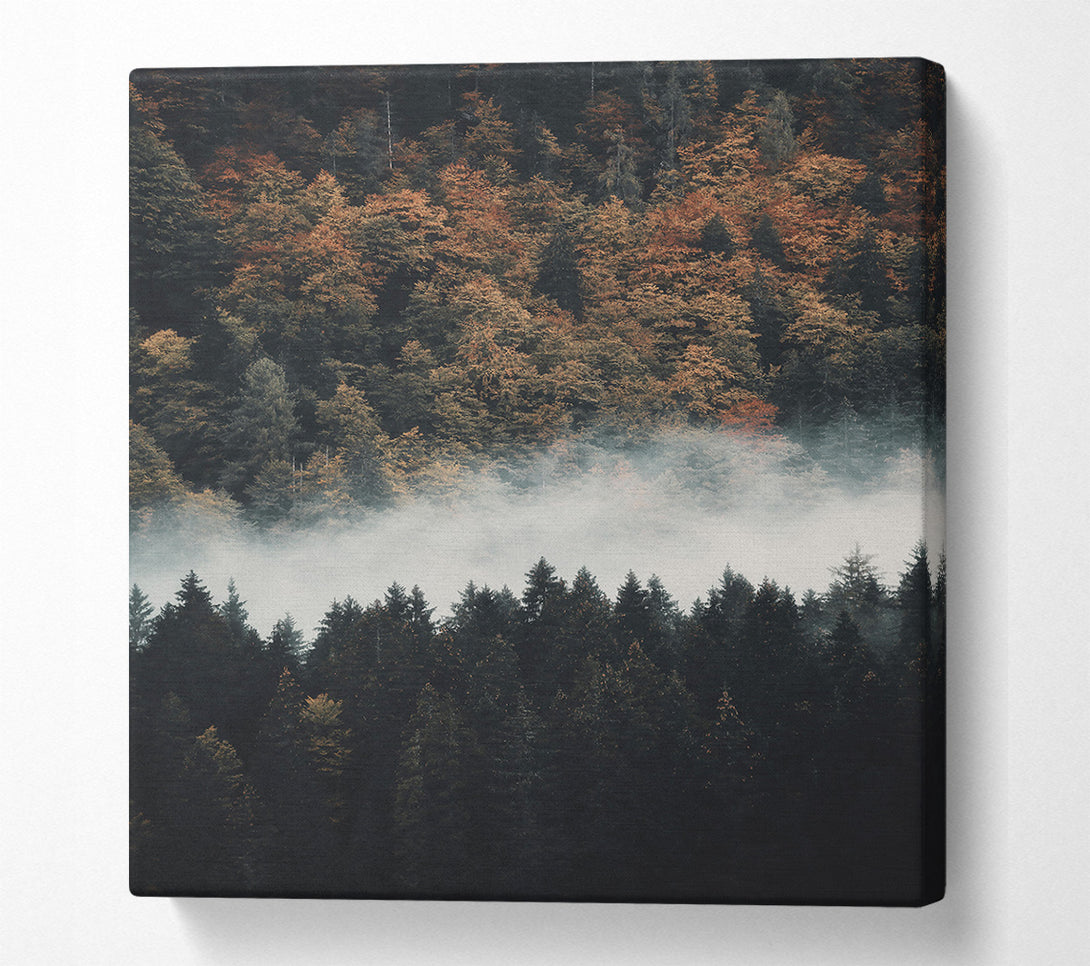  A Canvas Print of Golden Foggy Forest Canvas Print