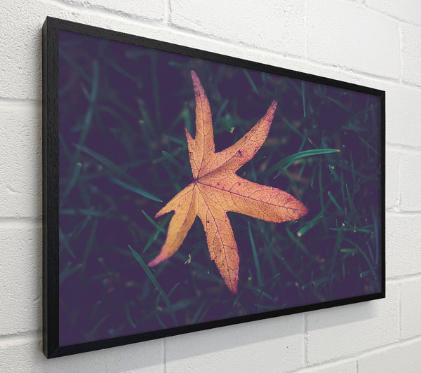 Golden Leaf In Green Grass