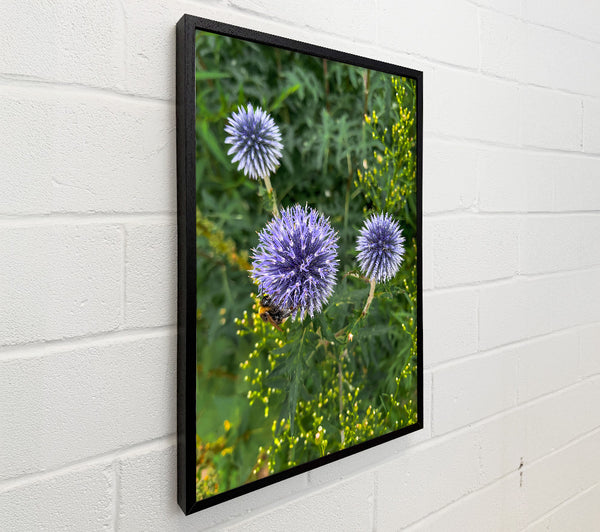 Blue Blooms And A Buzz